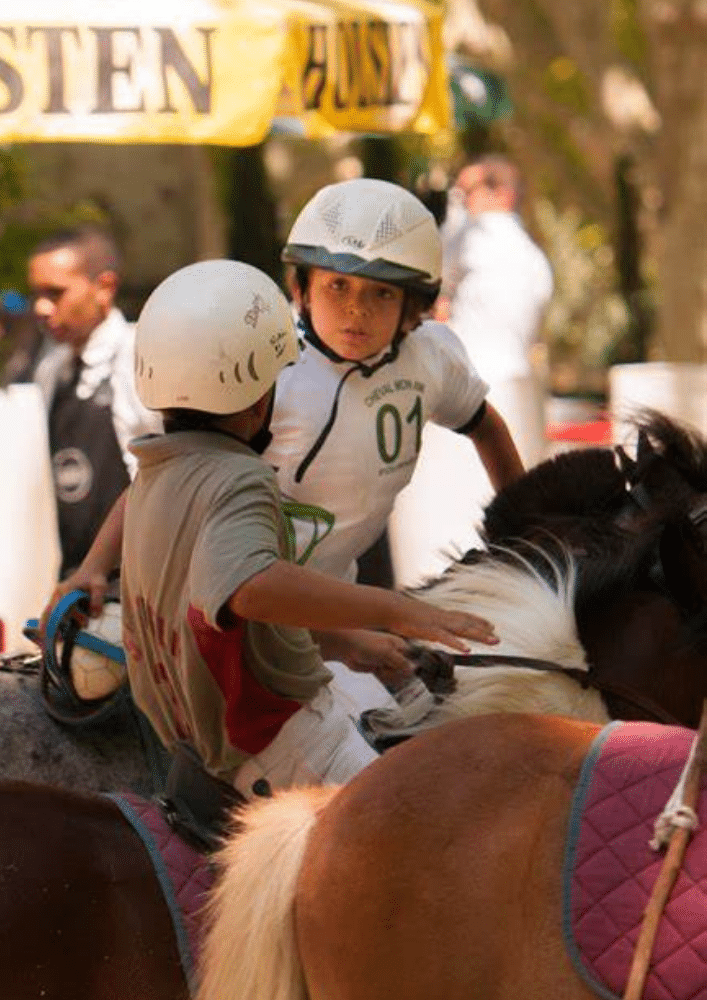 Équitation